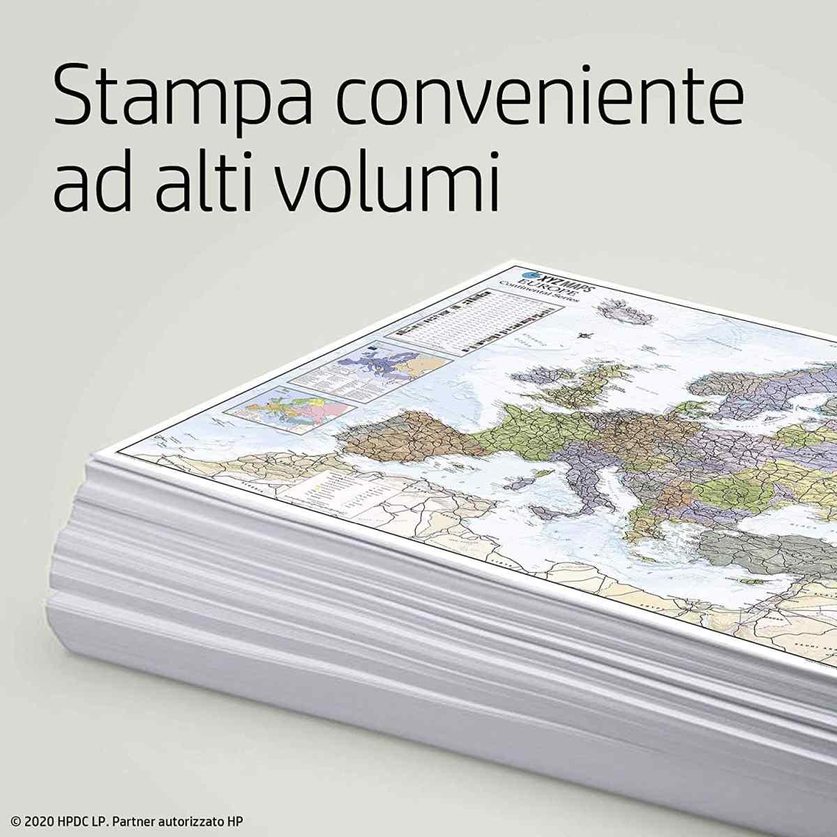 Testina 72 griio e nero fotografico